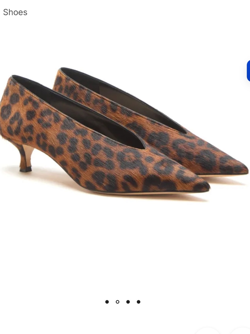 Leopard Print Pointed-Toe Kitten Heel Pumps - Brown